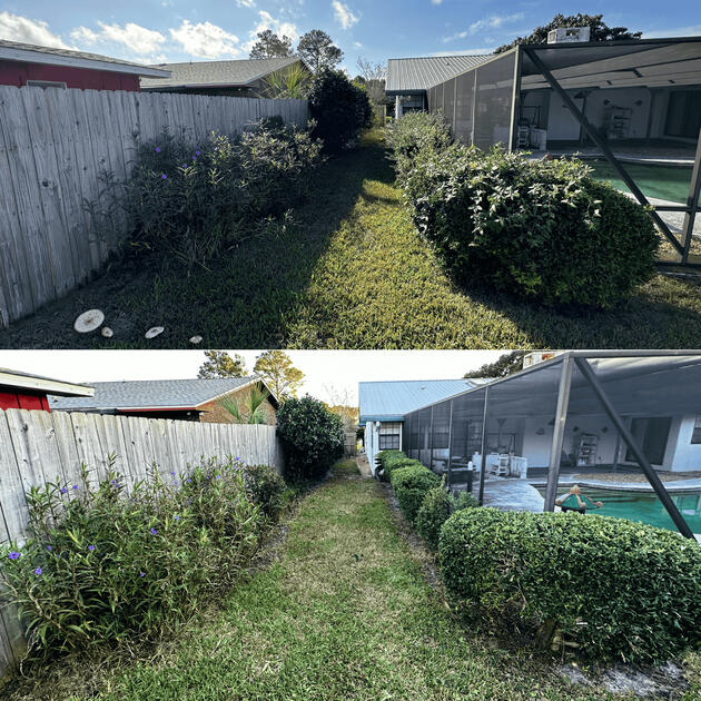 shrub pruning for residential
