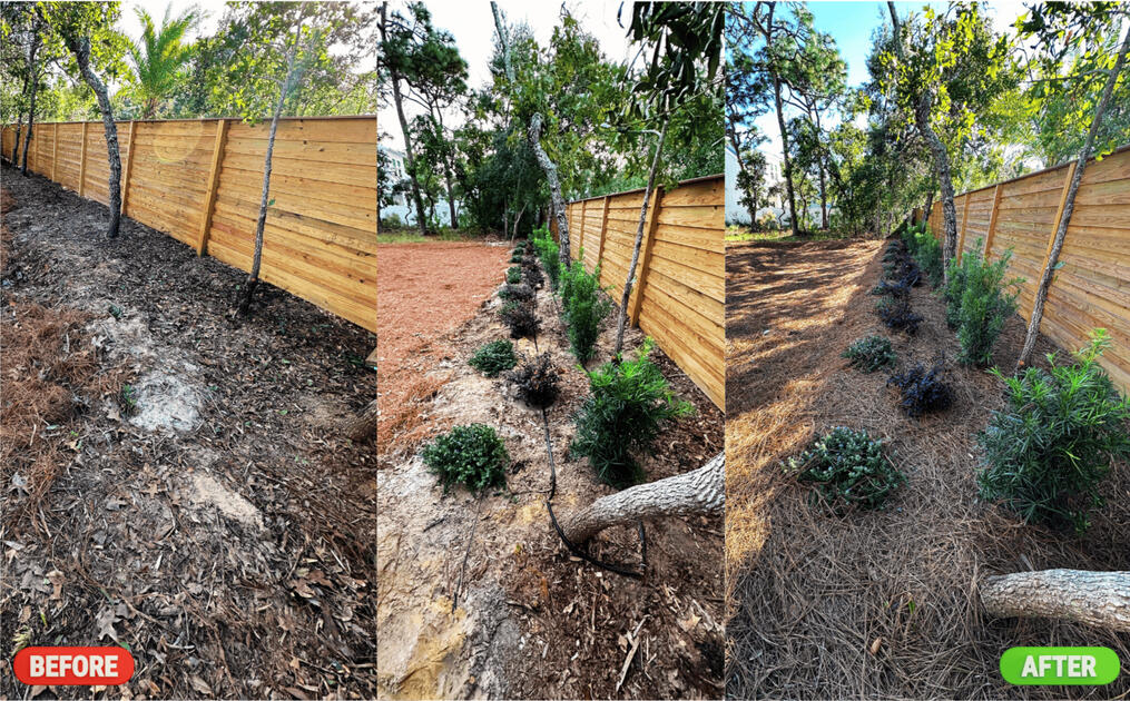installation of 30 shrubs with corresponding irrigation line and pine straw for property in Santa rosa beach, Fl